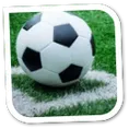 MLS  Badge